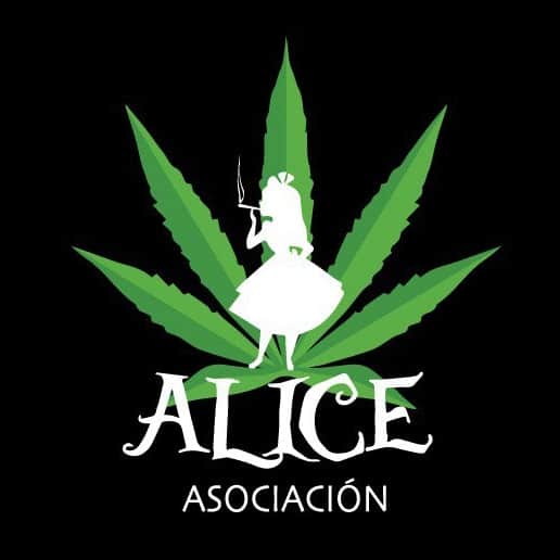 Logo of cannabis club Alice Valencia