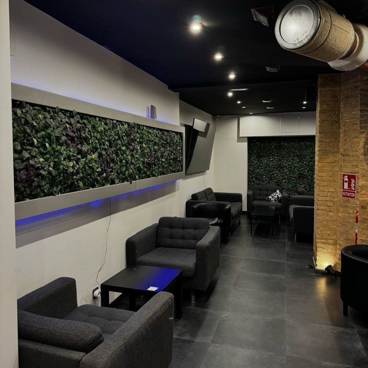 Minimal seating area at the cannabis association TURIA62 in Valencia with green wall decor