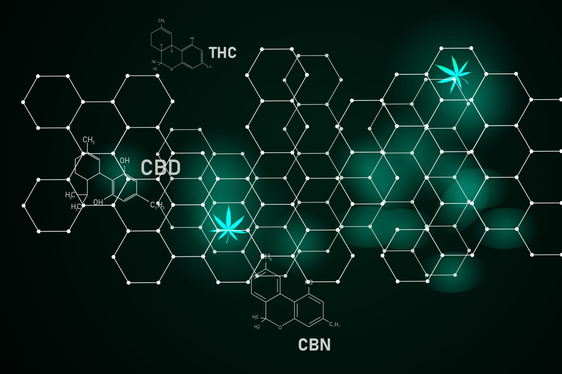 Beyond THC and CBD: Exploring Other Cannabis Compounds